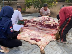 357 Kasus Cacing Hati Ditemukan, Peternak Diimbau Rutin Beri Obat Hewan Ternak