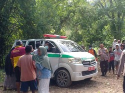 Wanita di Sigi Tenggelam-Hilang 13 Hari di Sungai Kura-kura Ditemukan Tewas