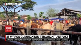 VIDEO: 85 Warga Gunungkidul Terjangkit Antraks, Satu Meninggal Dunia