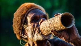 7 Contoh Alat Musik dari Papua, Fungsi, dan Cara Memainkannya
