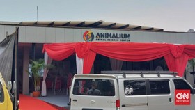 Animalium BRIN, Salah Satu Destinasi Wisata sambil Belajar di Cibinong