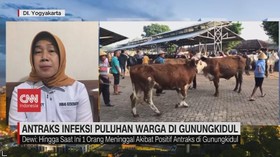 VIDEO: Antraks Infeksi Puluhan Warga di Gunungkidul