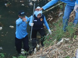 Hari Lingkungan Hidup, Bupati Mojokerto Bersihkan Sungai-Tanam Pohon