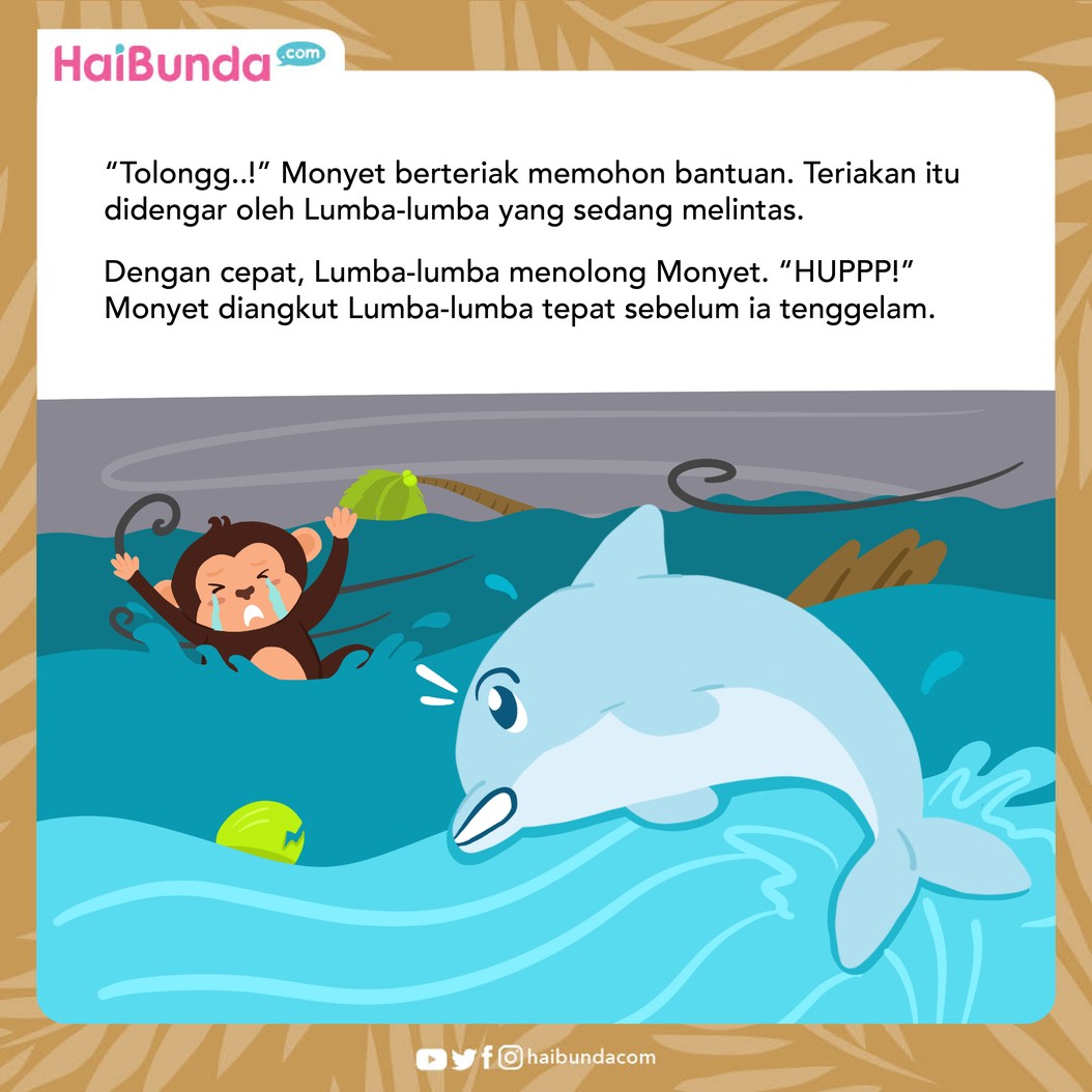 Cerita fabel Lumba-lumba dan Monyet Sombong