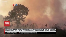 VIDEO: Indonesia Penyumbang Penggundulan Hutan Terendah ke-4 Sedunia