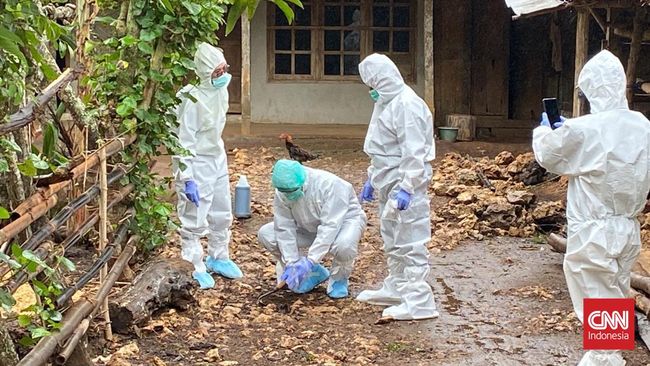 Kasus kematian akibat antraks di Jogja tentu menimbulkan kekhawatiran. Kemenkes menegaskan bahwa antraks tidak dapat menular dari manusia ke manusia.