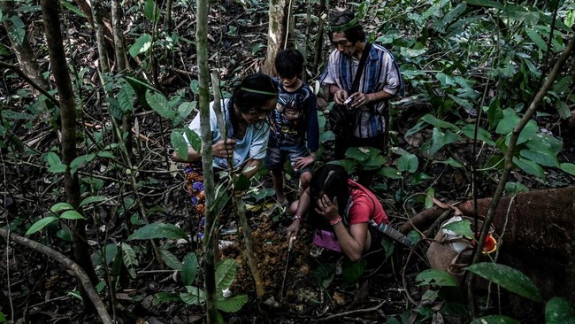 Masyarakat adat Punan Batu Benau adalah masyarakat pemburu dan peramu satu-satunya di Kalimantan. Ruang hidup mereka terancam.