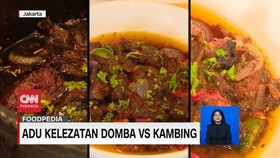 VIDEO: Adu Kelezatan Domba Vs Kambing