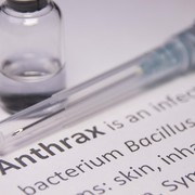 Bisa Memakan Korban Jiwa, Ini 5 Fakta Soal Antraks dan Bahayanya yang Wajib Kamu Ketahui