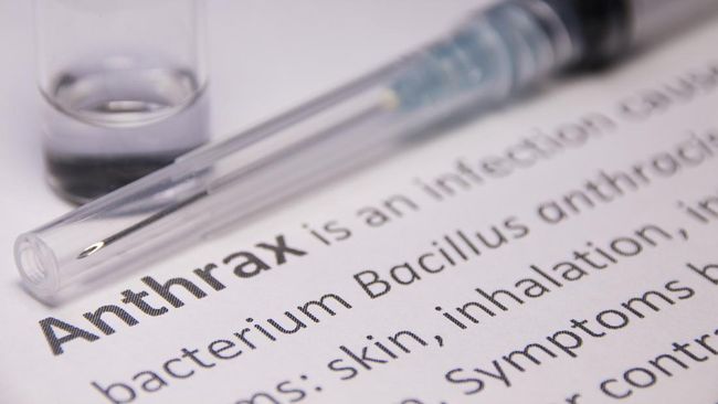 ilustrasi Antraks, Anthrax