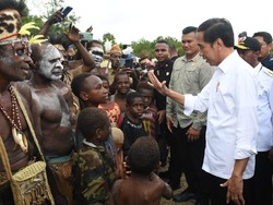 Jokowi: Food Estate Keroom Hasilkan 7 Ton Jagung per Ha, Petani Untung Rp 42 Juta
