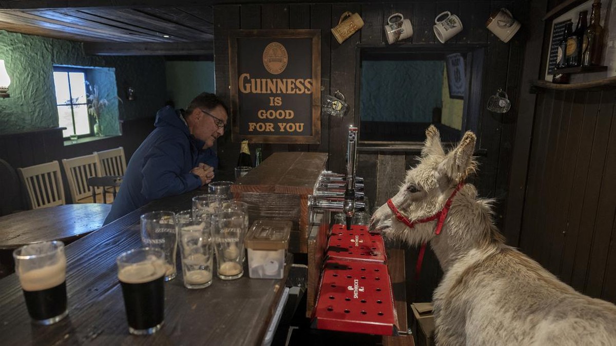 FOTO: Menikmati Pub Rasa Film 'The Banshees of Inisherin' di Irlandia