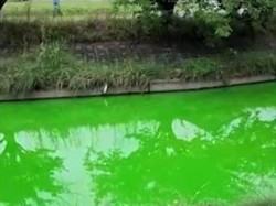 Dikenal Bersih, Air Sungai di Jepang kok Warnanya Hijau Lumut?
