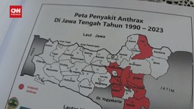 VIDEO: Jateng Lakukan 3 Langkah Antisipasi Antraks