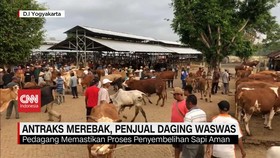 VIDEO: Antraks Merebak, Penjual Daging Waswas