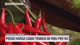 VIDEO: Pedas Harga Cabai Tembus 80 Ribu Per Kg