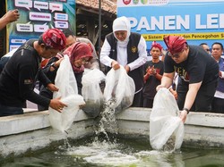 Bersama Mas Dhito, Gubernur Khofifah Dorong Penguatan Produksi Lele