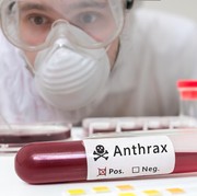 Mengenal Tradisi Brandu, Kebiasaan Masyarakat yang Menjadi Penyebab Wabah Anthrax di Gunung Kidul
