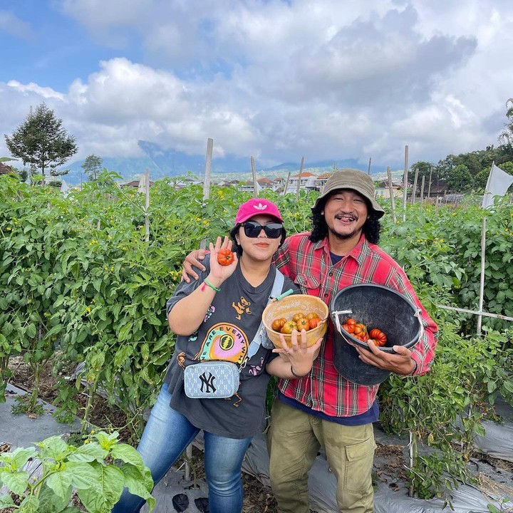 <p>Tak hanya itu, Isa juga sempat membagikan momen saat berada di kebun tomat yang dipanen untuk kebutuhan dapur warung makannya. (Foto: Instagram@isa_bajaj)</p>