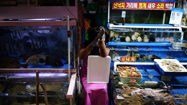 FOTO: Mengukur Radiasi Sea Food di Pasar Ikan Korea Selatan