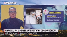 VIDEO: Mbrandu Picu Penyebaran Antraks di Gunungkidul?