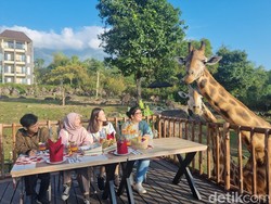 Nikmatnya Sarapan Ditemani Jerapah di Baobab Safari Resort Prigen