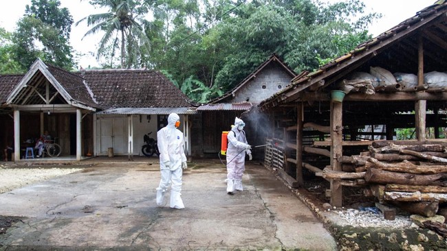 Kadus Kalinongko Kidul mengatakan di wilayahnya memang ada kasus sapi dan kamibg ternak yang mati diduga antraks.