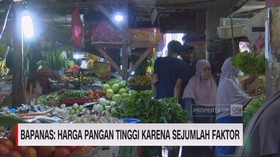 VIDEO: Bapanas: Harga Pangan Tinggi Karena Sejumlah Faktor