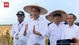 VIDEO: Jokowi Tinjau Food Estate di Keerom: Hasilnya Sangat Tinggi