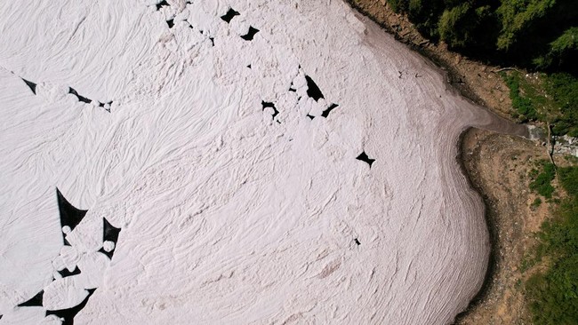 Busa misterius muncul di wilayah pantai selatan Australia dan diduga menjadi penyebab ratusan orang sakit hingga kematian biota laut.