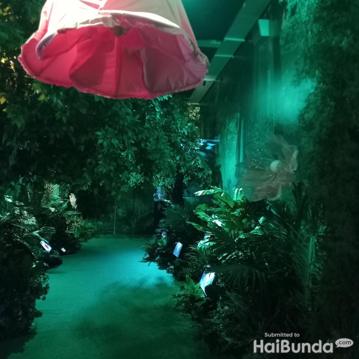 <p>Selanjutnya, pengunjung akan dibawa menuju Interactive Area melewati lorong hutan hujan dengan tumbuhan lebat. "Ini merupakan ruang interaktif untuk mengenal flora dan fauna secara digital," kata Mutiara Martha Lena Nauli, Creative Director Hutan Hujan imersifKu di Jakarta, Jumat (7/7/23). (Foto: Annisa Mutiara/HaiBunda)</p>