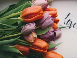 Hai, Ungkapkanlah Perasaan Cinta dengan Cara Ini