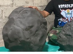 Pemkab Nganjuk Cek 2 Batu Meteor yang Ditemukan Suprianto di Tengah Hutan