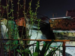 Dump Truk Pupuk Urea Timpa Rumah Warga di Greges Surabaya, 1 Orang Tewas