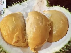 Manis Legit Durian Khas Bangka Belitung, Ada Klamunod-Tai Babi