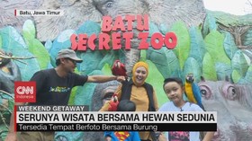 VIDEO: Serunya Wisata Bersama Hewan Sedunia