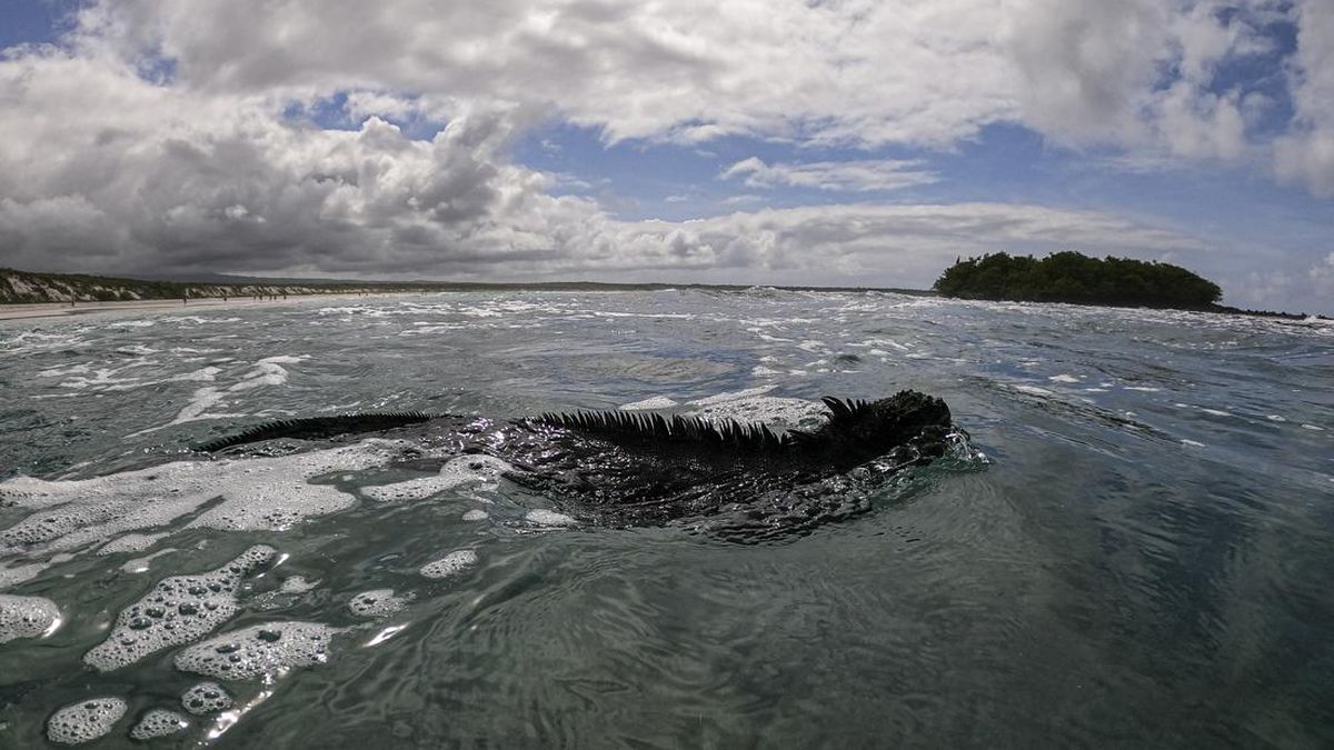 Pakar Ungkap Berkah di Balik Kekeringan El Nino: Hasil Laut Melimpah