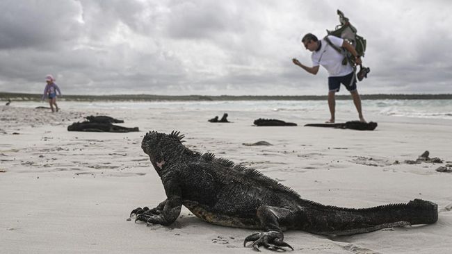 Kepulauan Galapagos yang dikenal sebagai museum hidup dan rumah bagi spesies langka bakal menaikkan biaya masuk untuk turis untuk melindungi ekosistem.