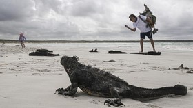 Lindungi Ekosistem, Kepulauan Galapagos Naikkan HTM Buat Turis