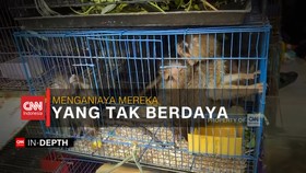 VIDEO: CNN In-Depth: Menganiaya Mereka yang Tak Berdaya