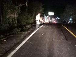 Ngeri! Tabrakan Maut Pikap Vs Motor di Jembrana Tewaskan 3 Orang