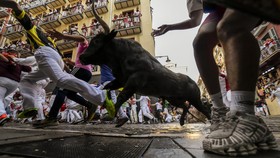FOTO: Memacu Adrenalin Lari Dikejar Banteng di Festival San Fermin