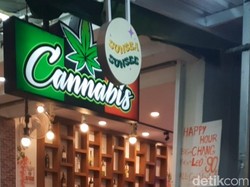 Thailand Bakal Cabut Legalitas Ganja, Industri Rp 16,2 T Terancam