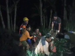 Turis Amerika Serikat Tewas Saat Susur Sawah, Jasad 200 Kg Sulit Dievakuasi