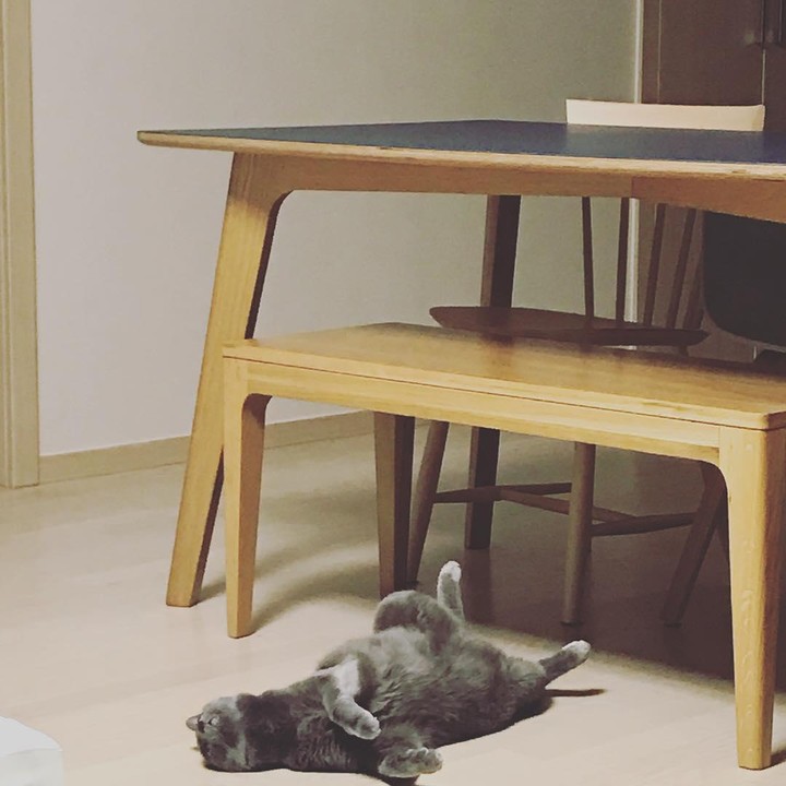 <p>Lewat media sosial, bintang drakor <em>King the Land</em> itu juga kerap membagikan potret lucu kucing-kucingnya yang sedang bermain di apartemen. Bikin gemas! (Foto: Instagram @le2jh)</p>