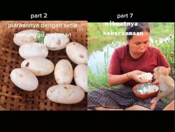 Anti Mainstream! Orang Ini Cicip Telur Buaya hingga Telur Ular Goreng