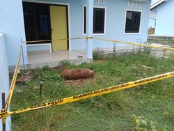 Bom Aktif Peninggalan Perang Dunia Ditemukan di Lanud Silas Papare Sentani