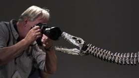 FOTO: Lelang 'Monster Loch Ness' di New York, Harganya Gila