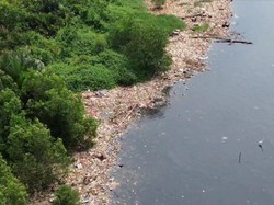 Sampah di Pantai Mangrove Muara Angke Bikin Resah