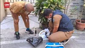 VIDEO: Puluhan Kucing Di Sunter Mati Mendadak. Petugas Turun Tangan